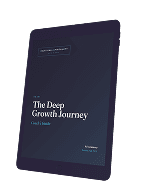 Done-For-You Programs